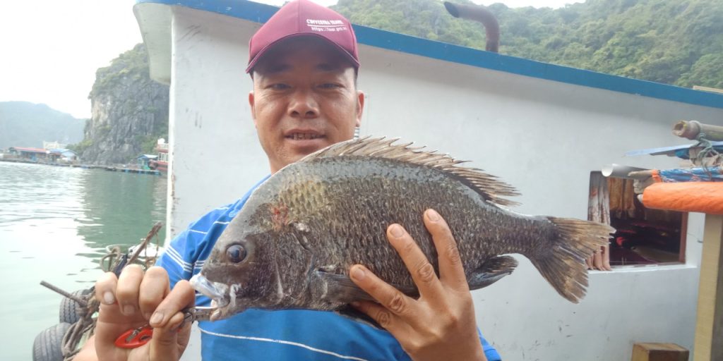 Vietnam Insider Travel