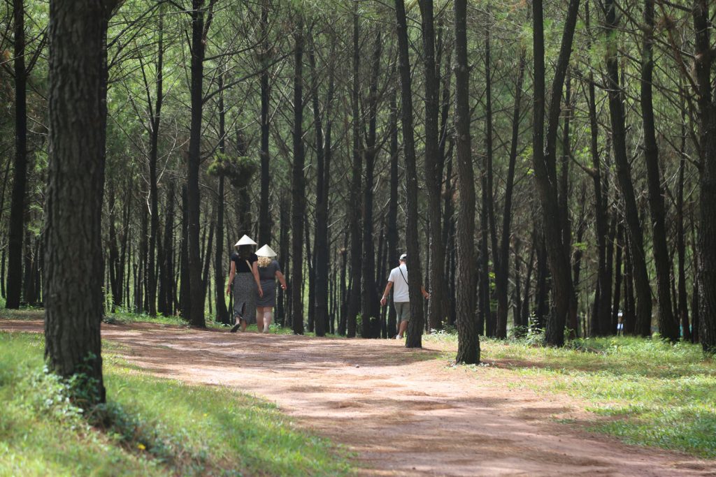 Vietnam Insider Travel